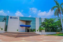Tampico