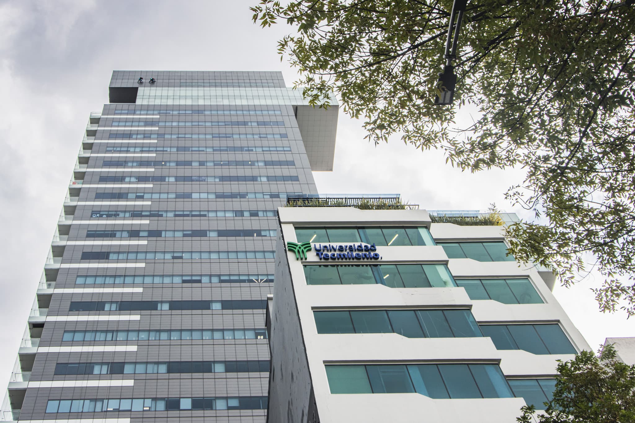 edificio espacio connect reforma