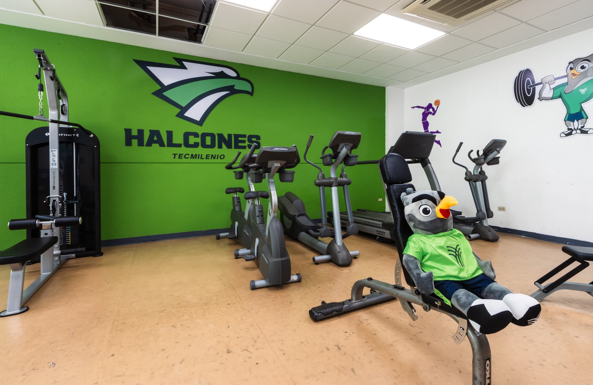 gimnasio campus reynosa tecmilenio